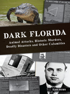 cover image of Dark Florida